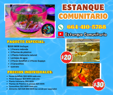 Estanque Comunitario