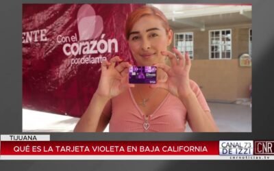 Tarjeta Violeta: Apoyo Económico para Mujeres Jefas de Familia en Baja California