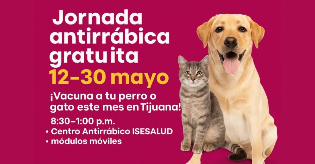 Imagen horizontal con fondo magenta intenso. A la izquierda, texto grande en blanco y amarillo anuncia la jornada antirrábica gratuita en Tijuana. A la derecha, un perro labrador dorado y un gato gris tabby miran de frente. La imagen incluye horarios y puntos de vacunación visibles como ISESALUD y módulos móviles.