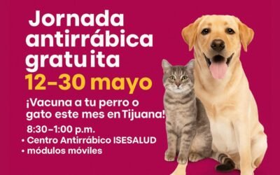 🐶 Jornada Antirrábica Gratuita 12–30 mayo en Tijuana