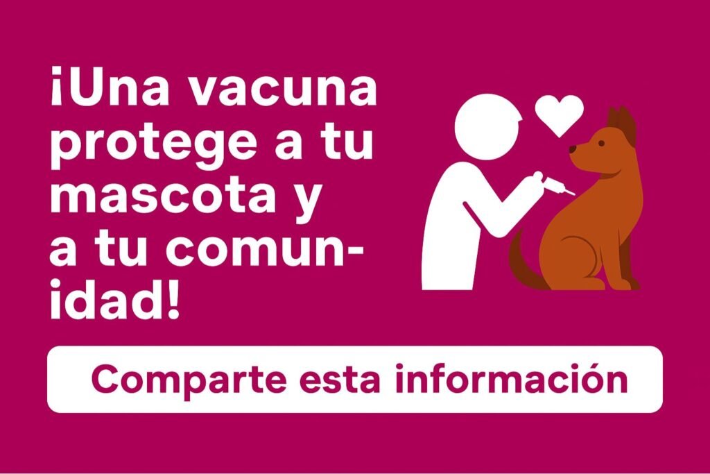 Banner horizontal con fondo magenta brillante, un texto blanco que dice “¡Una vacuna protege a tu mascota y a tu comunidad!” y una ilustración de un veterinario aplicando una inyección a un perro marrón. Abajo, un botón blanco con texto en fucsia que dice “Comparte esta información”.